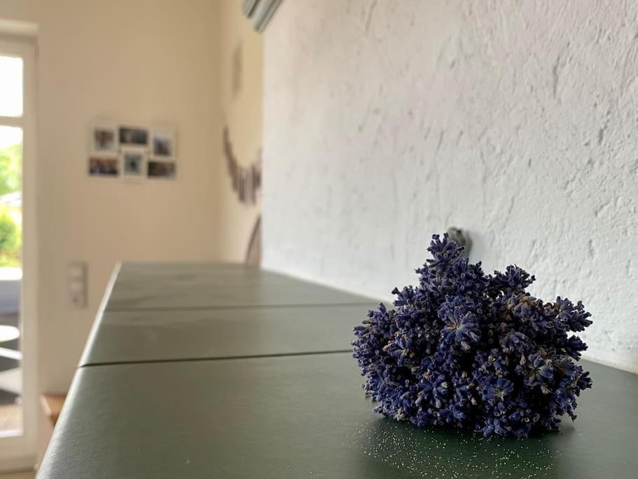 Ferienhaus - Ganzes Haus Fuer Euch Allein Grossenhain Extérieur photo
