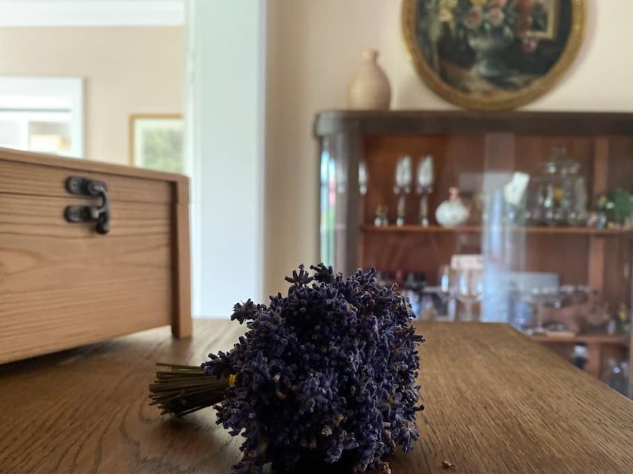 Ferienhaus - Ganzes Haus Fuer Euch Allein Grossenhain Extérieur photo